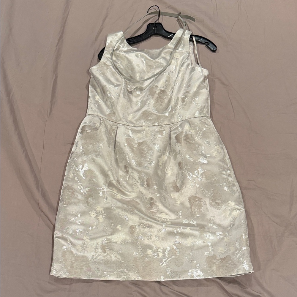 Elegant silver Sleeveless Dress